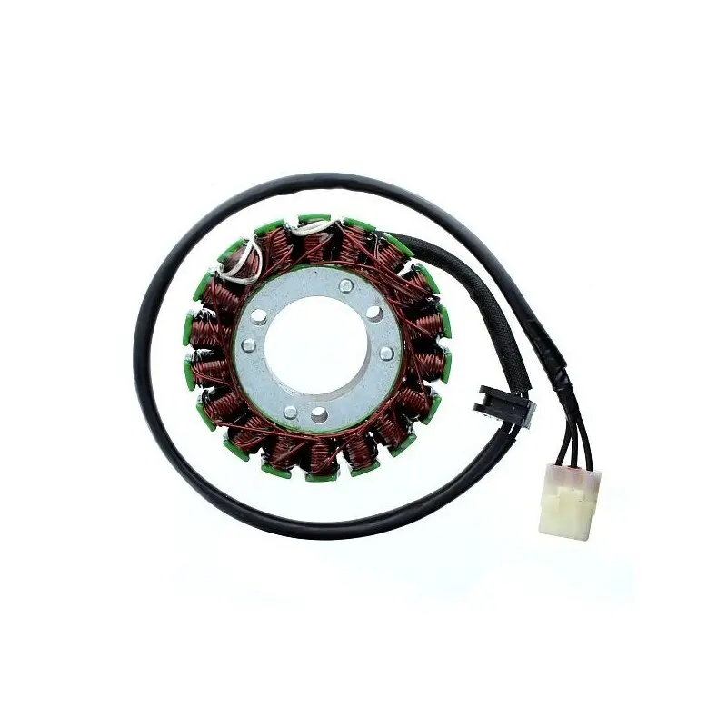 Lichtmaschine Motorrad anpassbar Original Electrosport KTM