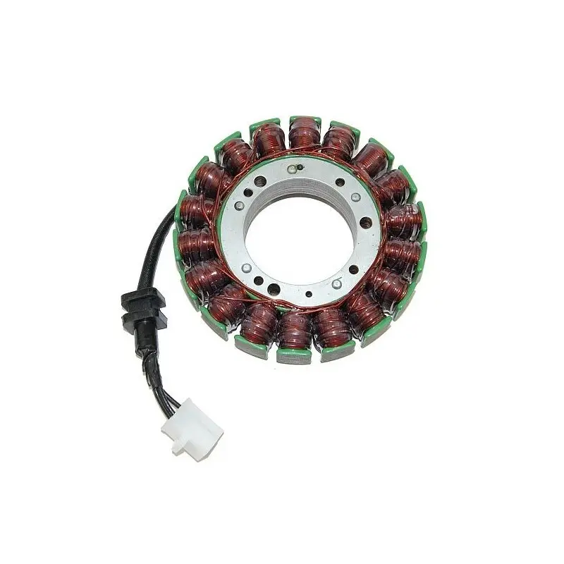 Lichtmaschine Motorrad anpassbar Original Electrosport Kawasaki