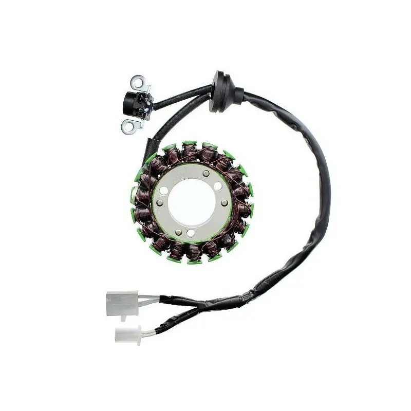 Lichtmaschine Motorrad anpassbar Original Electrosport Yamaha