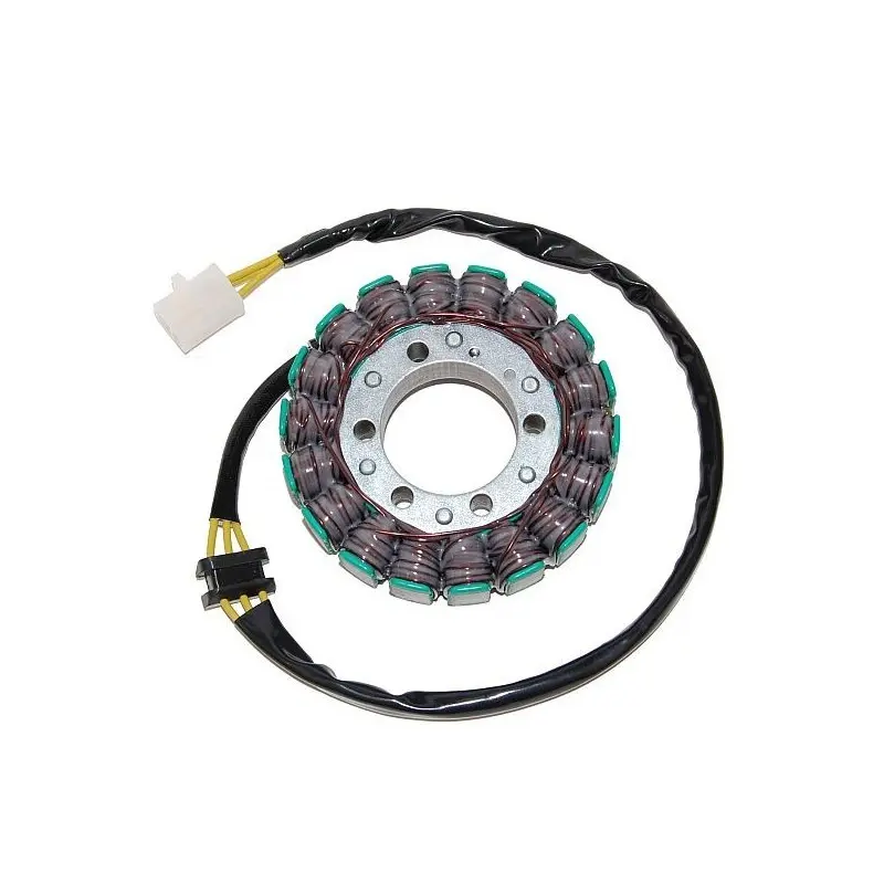 Lichtmaschine Motorrad anpassbar Original Electrosport Kawasaki