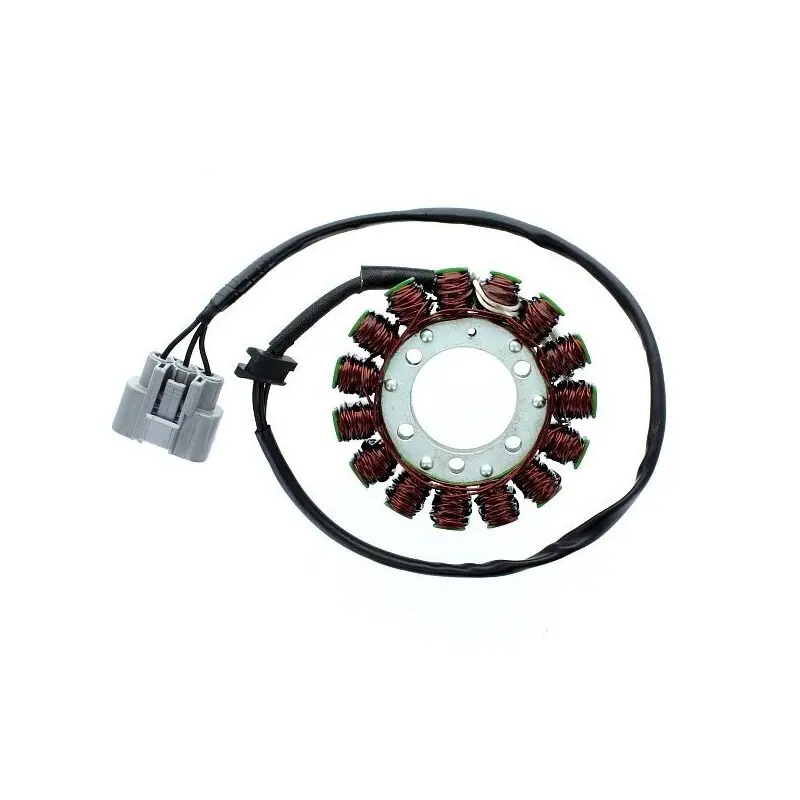 Lichtmaschine Motorrad anpassbar Original Electrosport Kawasaki