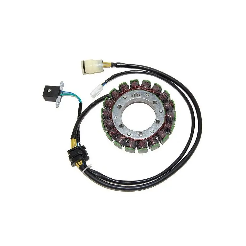 Lichtmaschine Motorrad anpassbar Original Electrosport Kawasaki