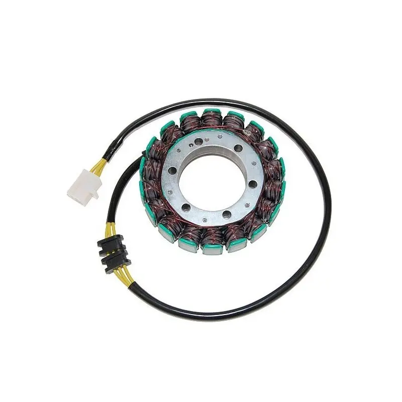 Lichtmaschine Motorrad anpassbar Original Electrosport Kawasaki