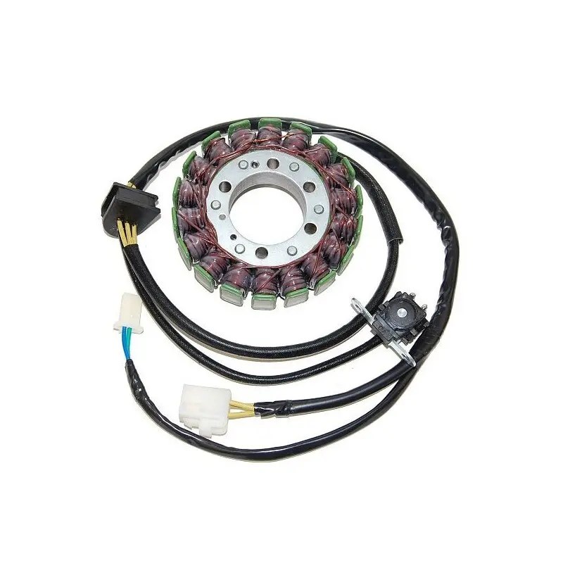 Lichtmaschine Motorrad anpassbar Original Electrosport Suzuki