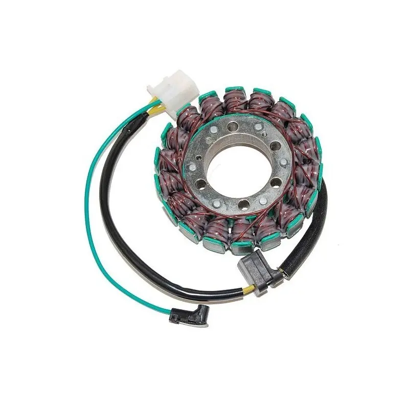 Lichtmaschine Motorrad anpassbar Original Electrosport Kawasaki