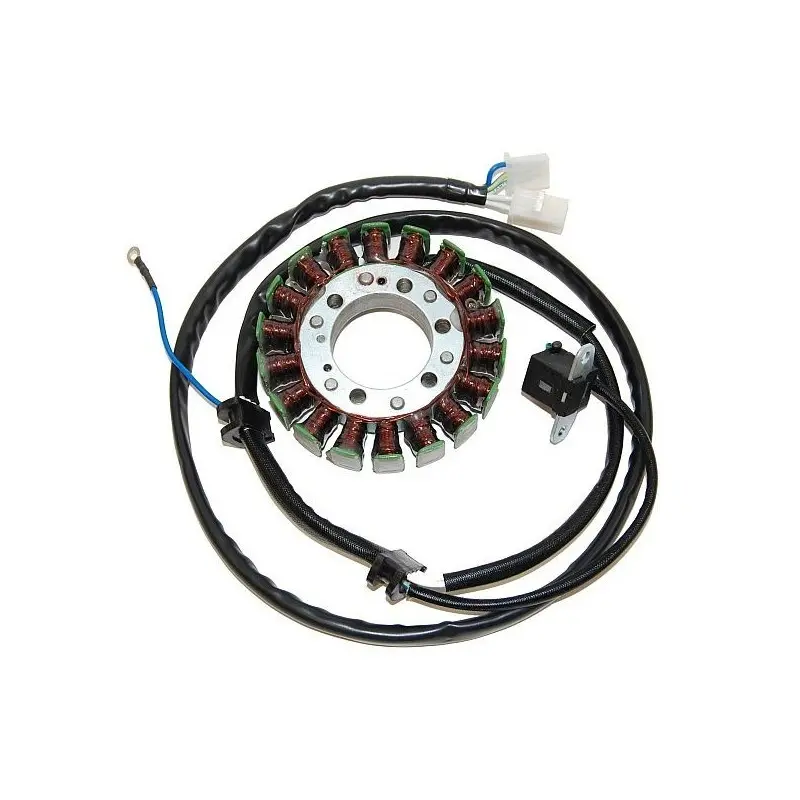 Lichtmaschine Motorrad anpassbar Original Electrosport Yamaha