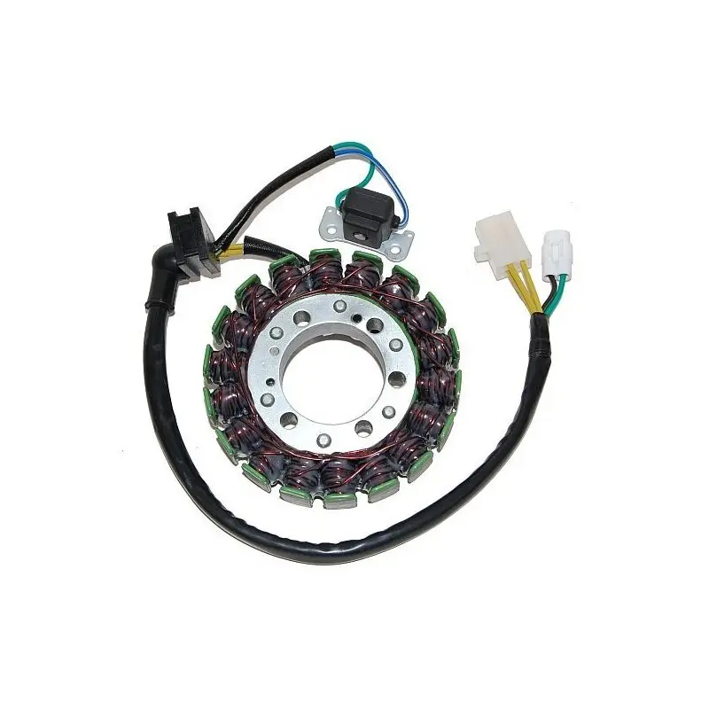 Lichtmaschine Motorrad anpassbar Original Electrosport Suzuki