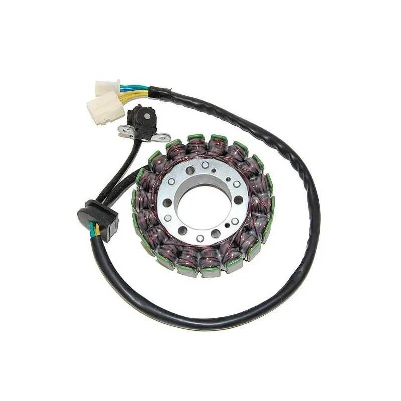Lichtmaschine Motorrad anpassbar Original Electrosport Suzuki
