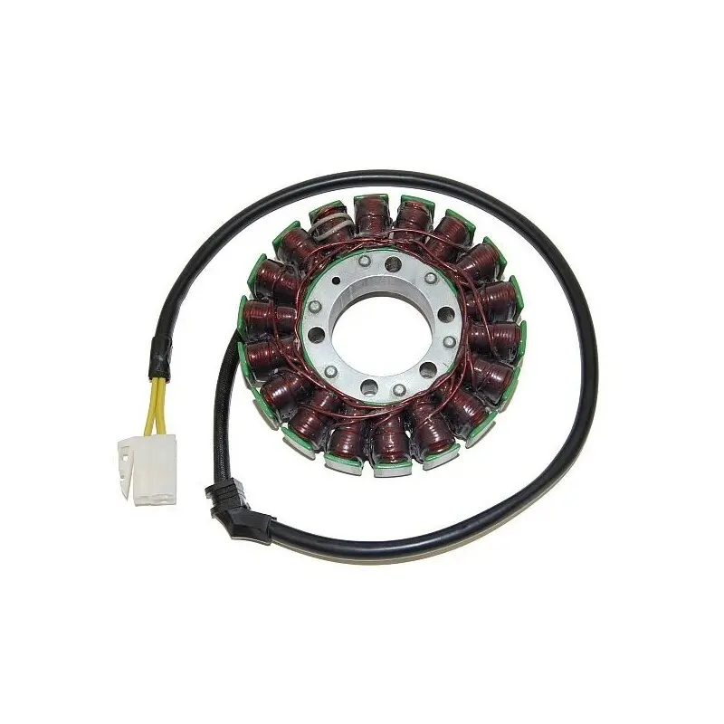 Lichtmaschine Motorrad anpassbar Original Electrosport Triumph