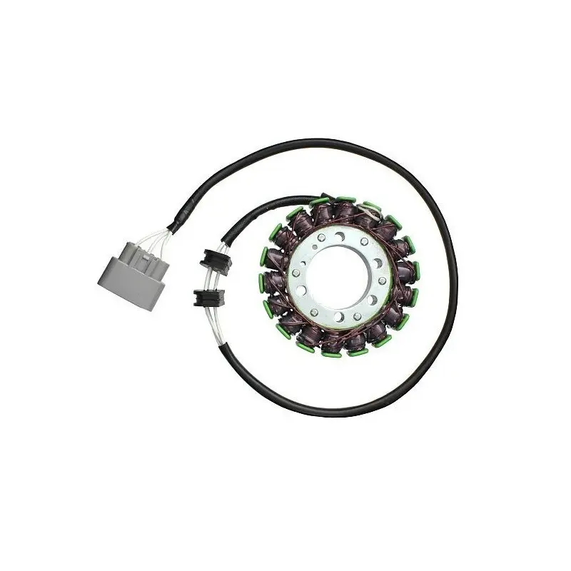 Lichtmaschine Motorrad anpassbar Original Electrosport Yamaha