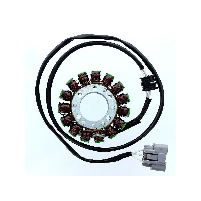 Lichtmaschine Motorrad anpassbar Original Electrosport Yamaha