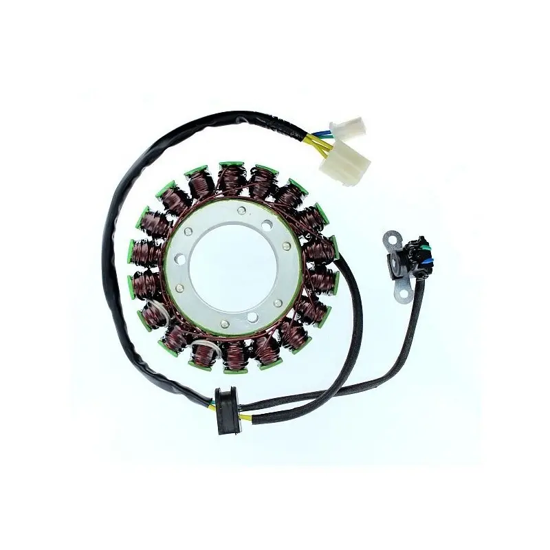 Lichtmaschine Motorrad anpassbar Original Electrosport Suzuki