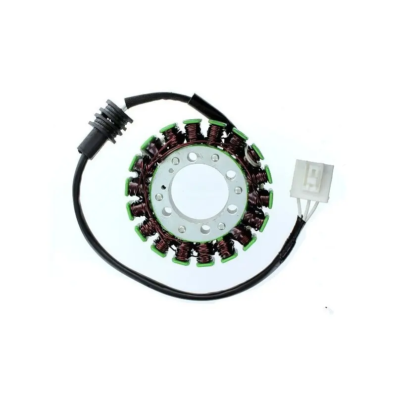 Anpassbare Lichtmaschine Electrosport Yamaha