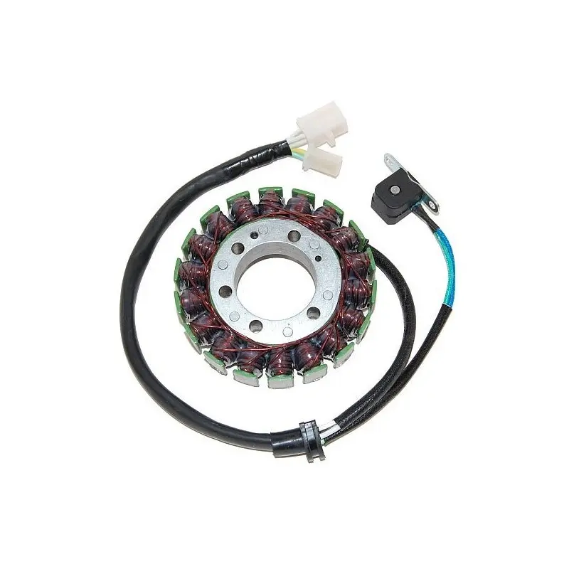 Lichtmaschine Motorrad anpassbar Original Electrosport Yamaha