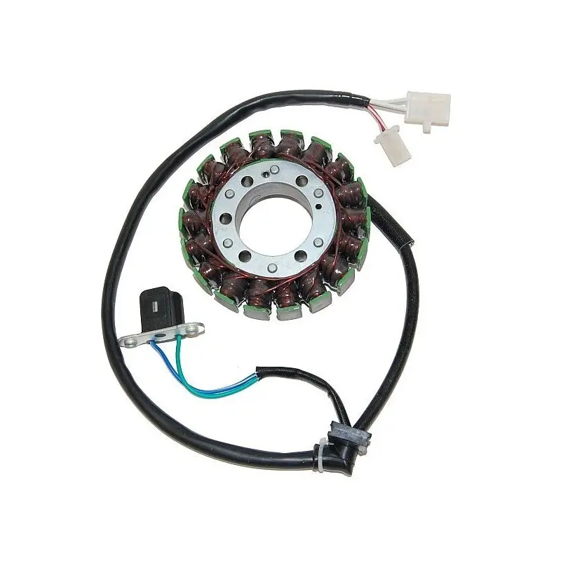 Lichtmaschine Motorrad anpassbar Original Electrosport Yamaha