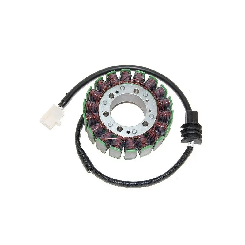 Lichtmaschine Motorrad anpassbar Original Electrosport Yamaha