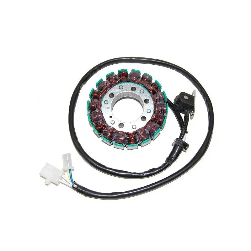Lichtmaschine Motorrad anpassbar Original Electrosport Yamaha