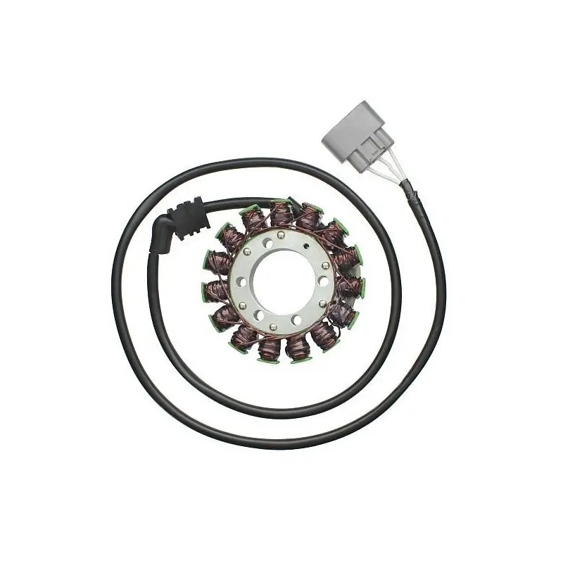 Originele aanpasbare motor dynamo Electrosport Yamaha