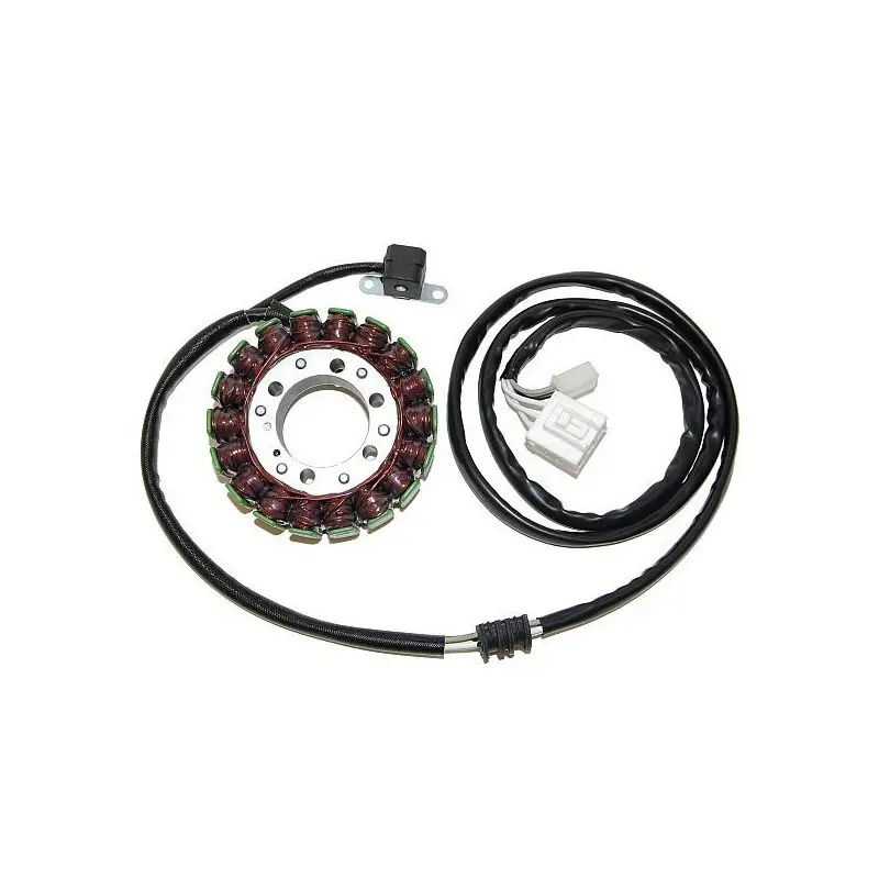 Lichtmaschine Motorrad anpassbar Original Electrosport Yamaha