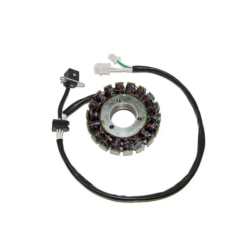 Lichtmaschine Motorrad anpassbar Original Electrosport Suzuki