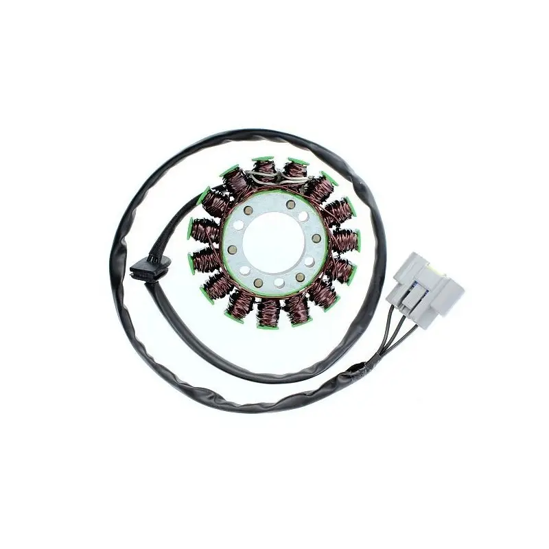Lichtmaschine Motorrad anpassbar Original Electrosport BMW