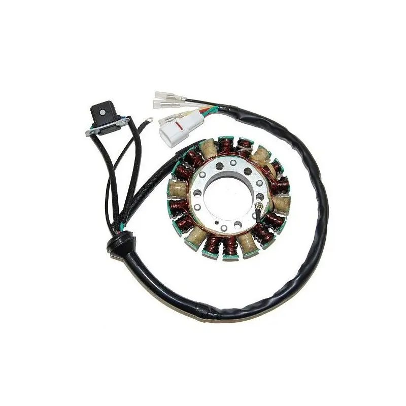Lichtmaschine Motorrad anpassbar Original Electrosport Yamaha