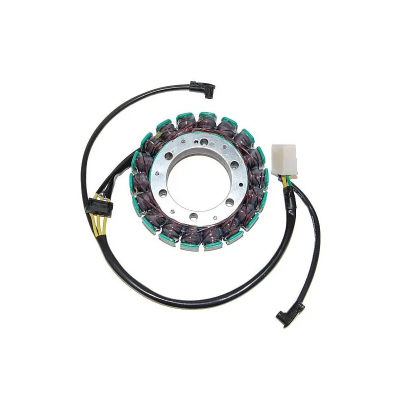 Lichtmaschine Motorrad anpassbar Original Electrosport Moto Kawasaki