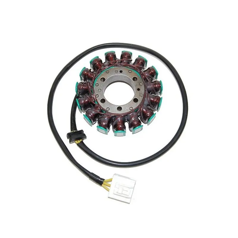 Anpassbare Lichtmaschine Electrosport Kawasaki