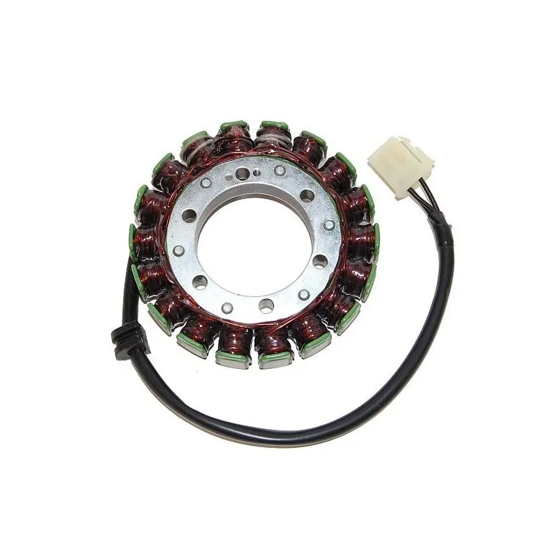 Lichtmaschine Motorrad anpassbar Original Electrosport Triumph