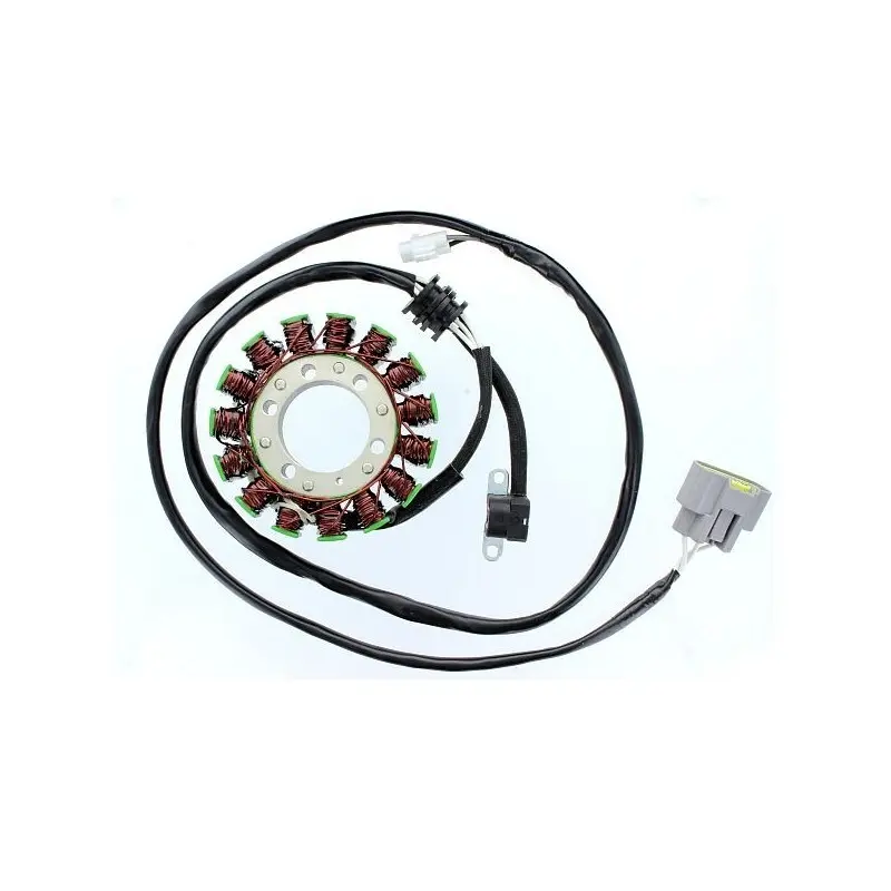 Lichtmaschine Motorrad anpassbar Original Electrosport Yamaha