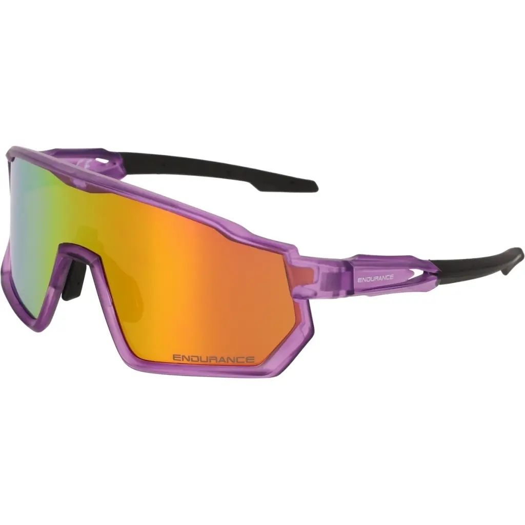 Endurance Men's Violet Sunglasses Mathieu