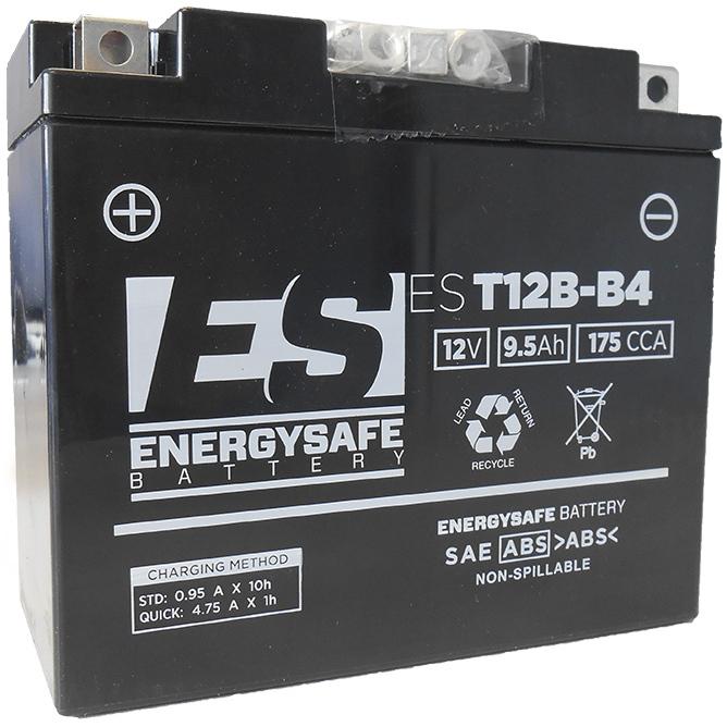 product/e/n/energy-safe_e41224.jpg