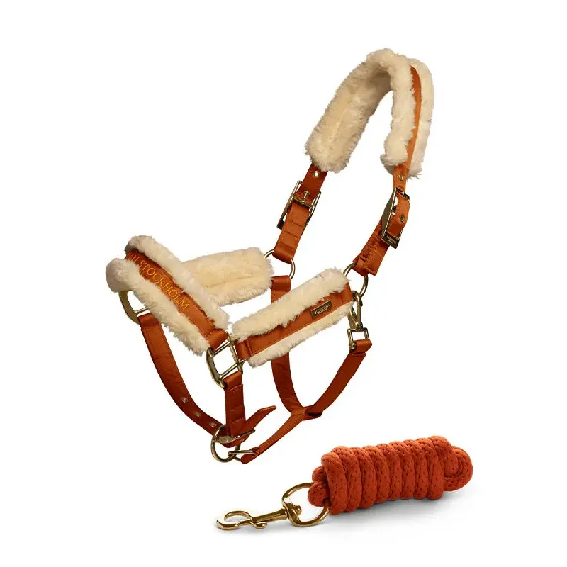Equestrian Stockholm Doré Halter And Lead Rope Set For Horse