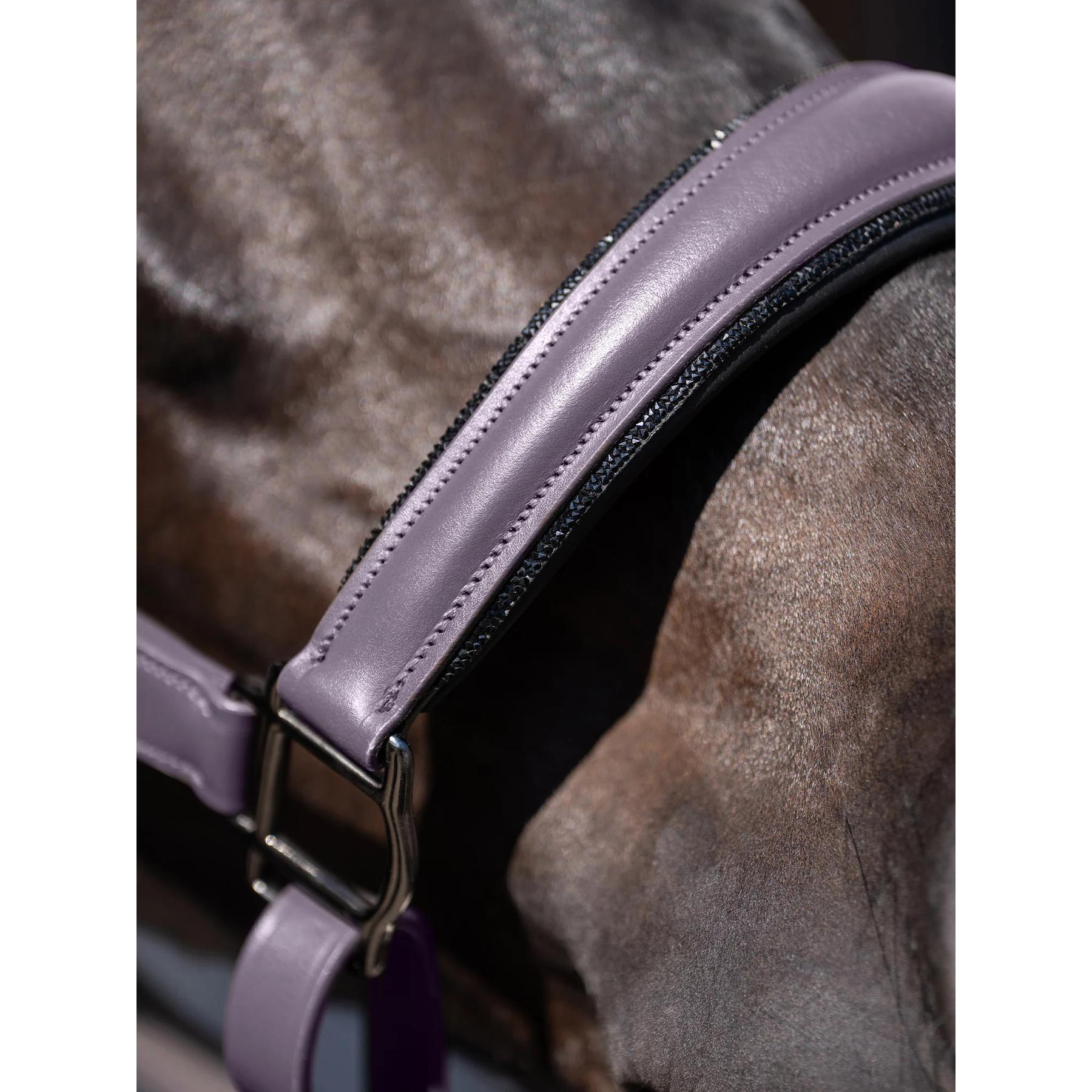 product/e/q/equestrian-stockholm-7340206437105-dark-violet-2.jpg