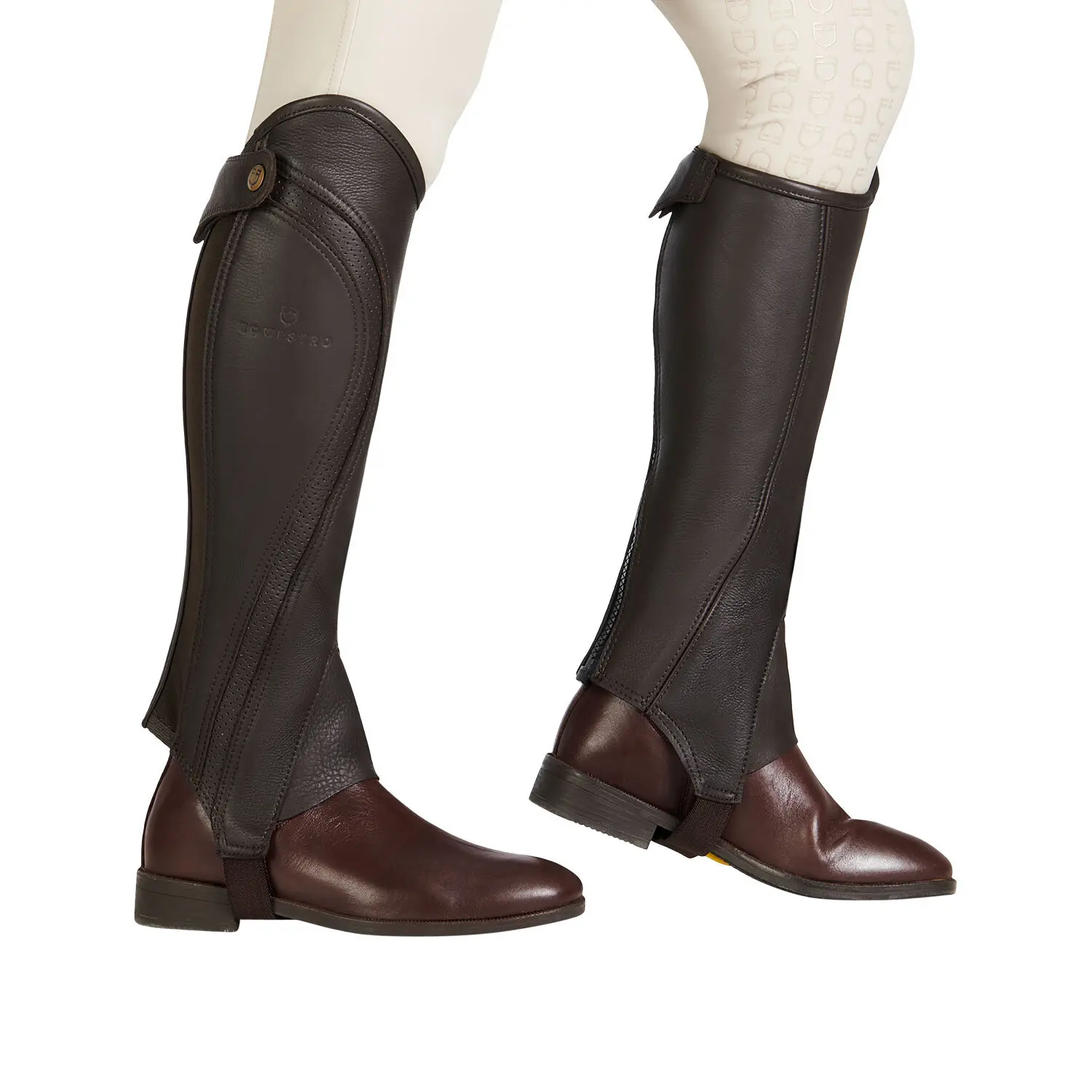Guêtres pour cheval Equestro Salisbury