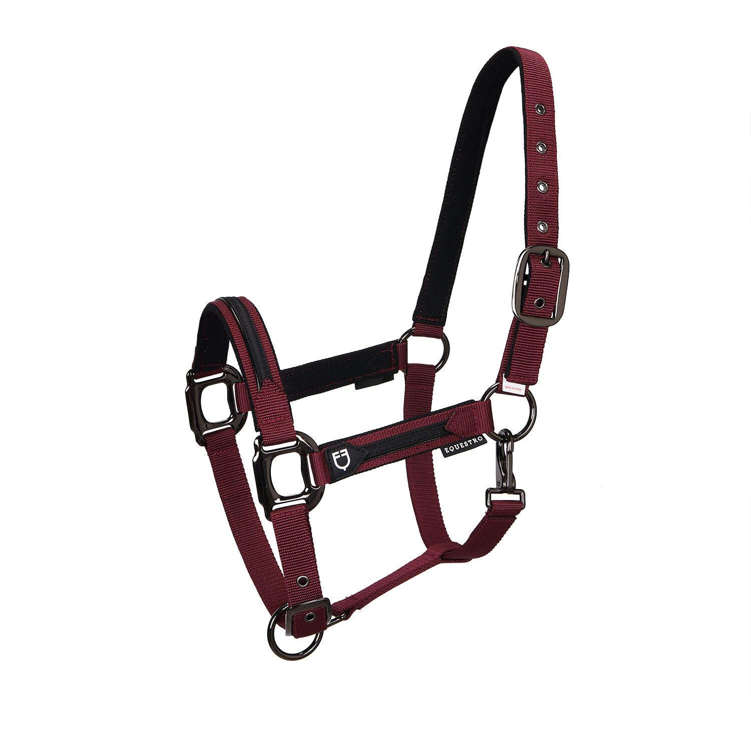 product/e/q/equestro_et08600-burgundy_et08600-burgundy_1.jpg