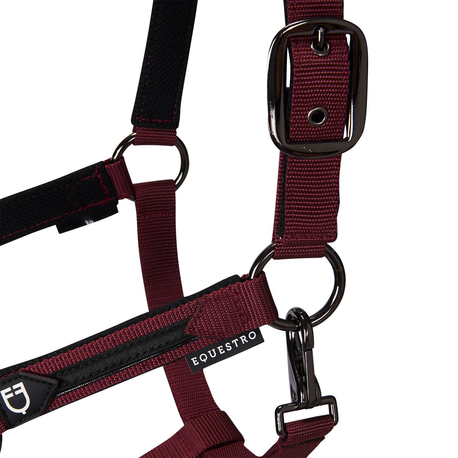 product/e/q/equestro_et08600-burgundy_et08600-burgundy_4.jpg