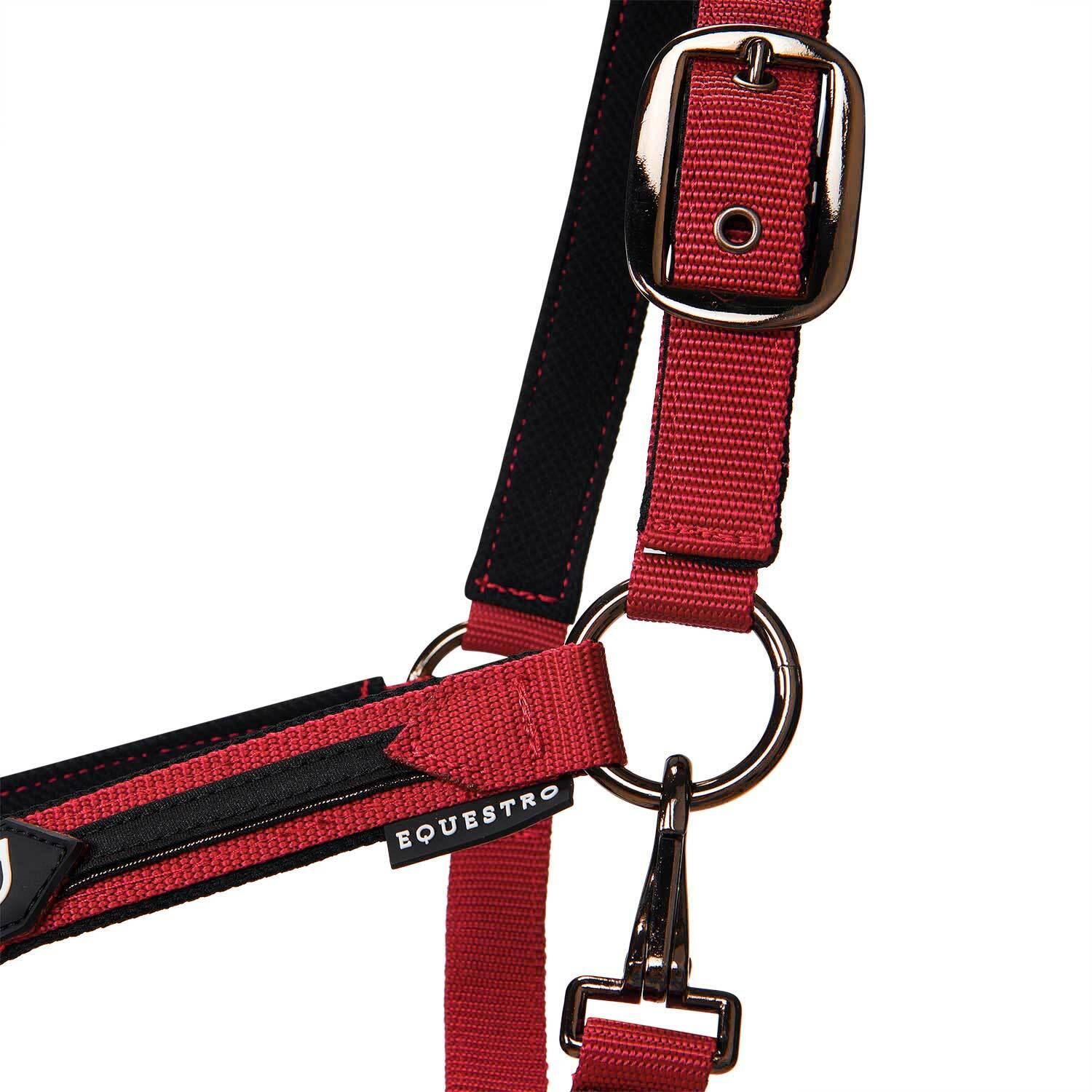 product/e/q/equestro_et08600-red_et08600-red_6.jpg