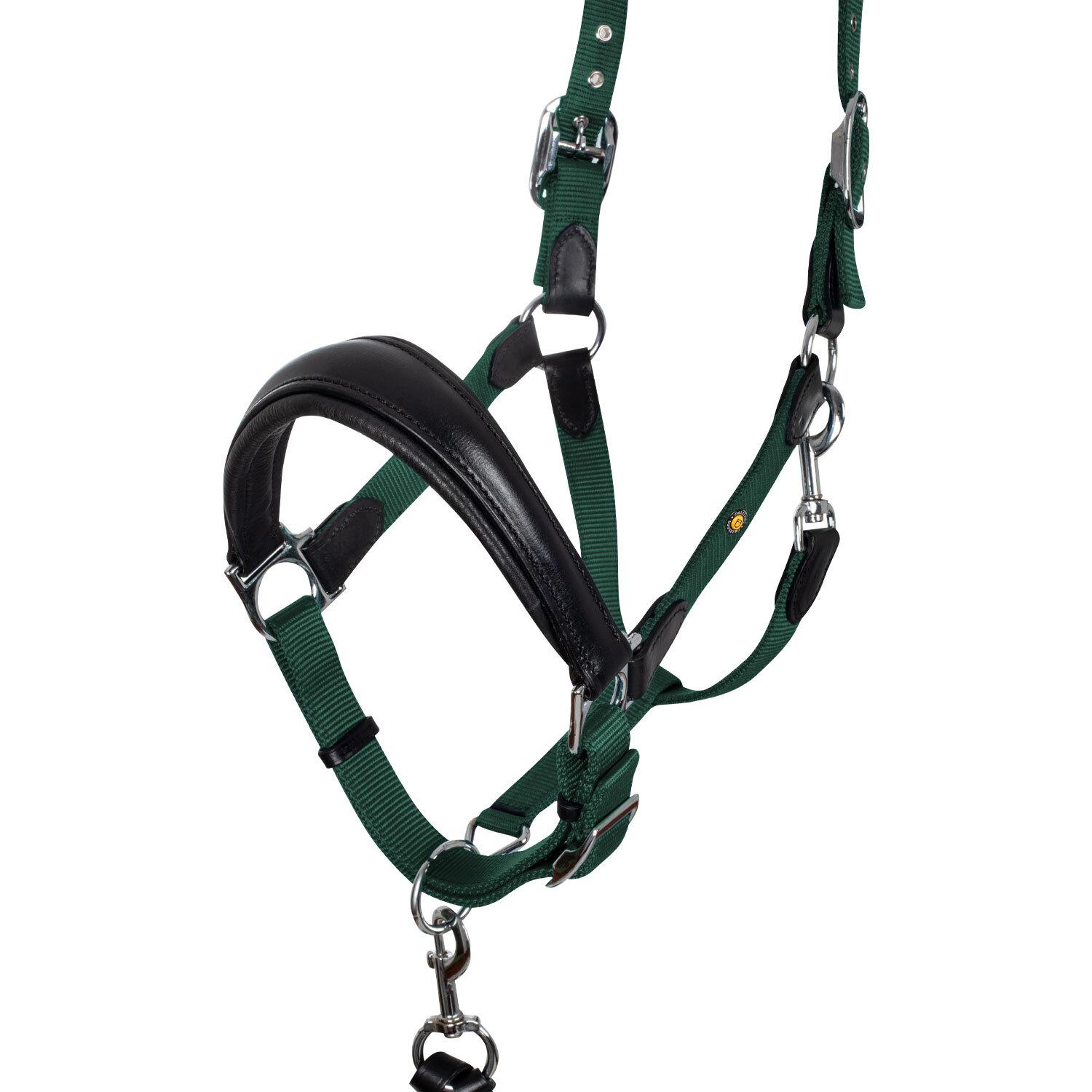 product/e/q/equestro_eth03002n-black_hunter-green_black-hunter-green_2.jpg