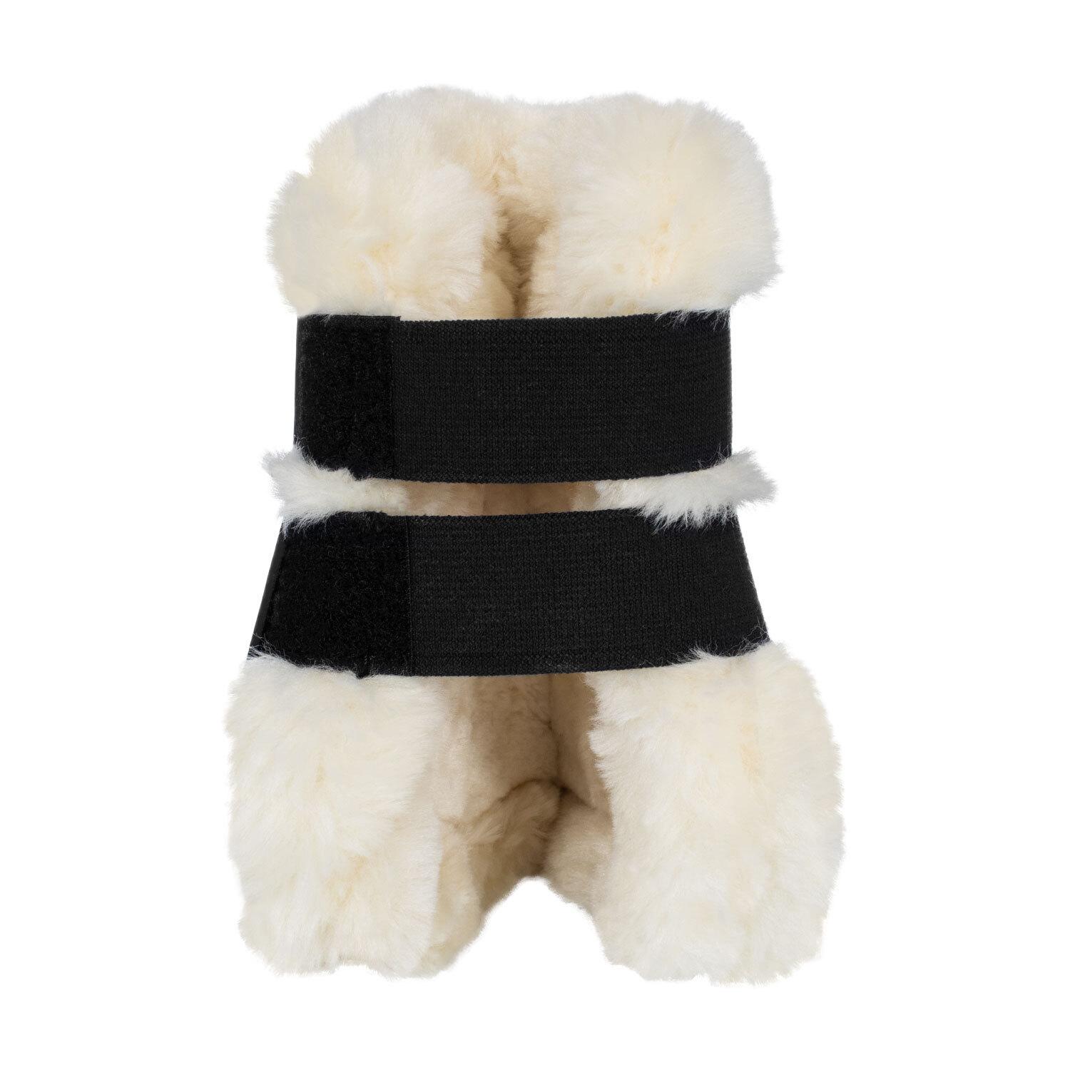 product/e/q/equestro_eth07006-black_black_5.jpg