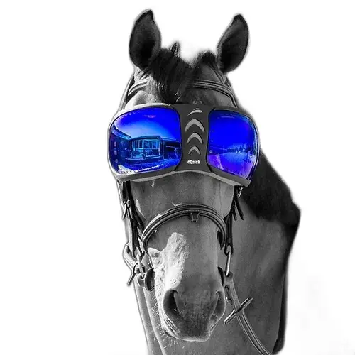 Verres de rechange lunettes cheval eQuick eVysor