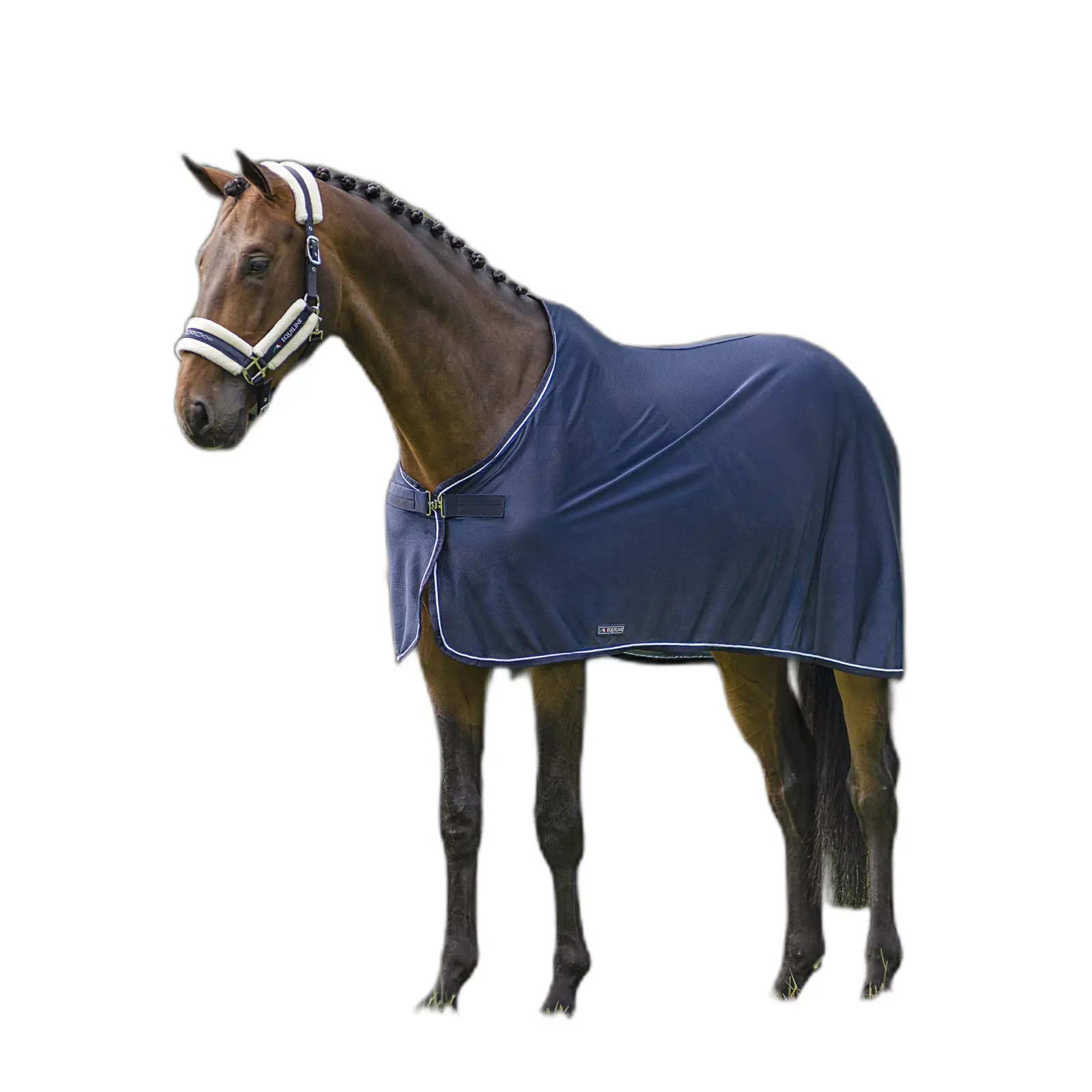 Chemise pour cheval avec corde blanche Equiline