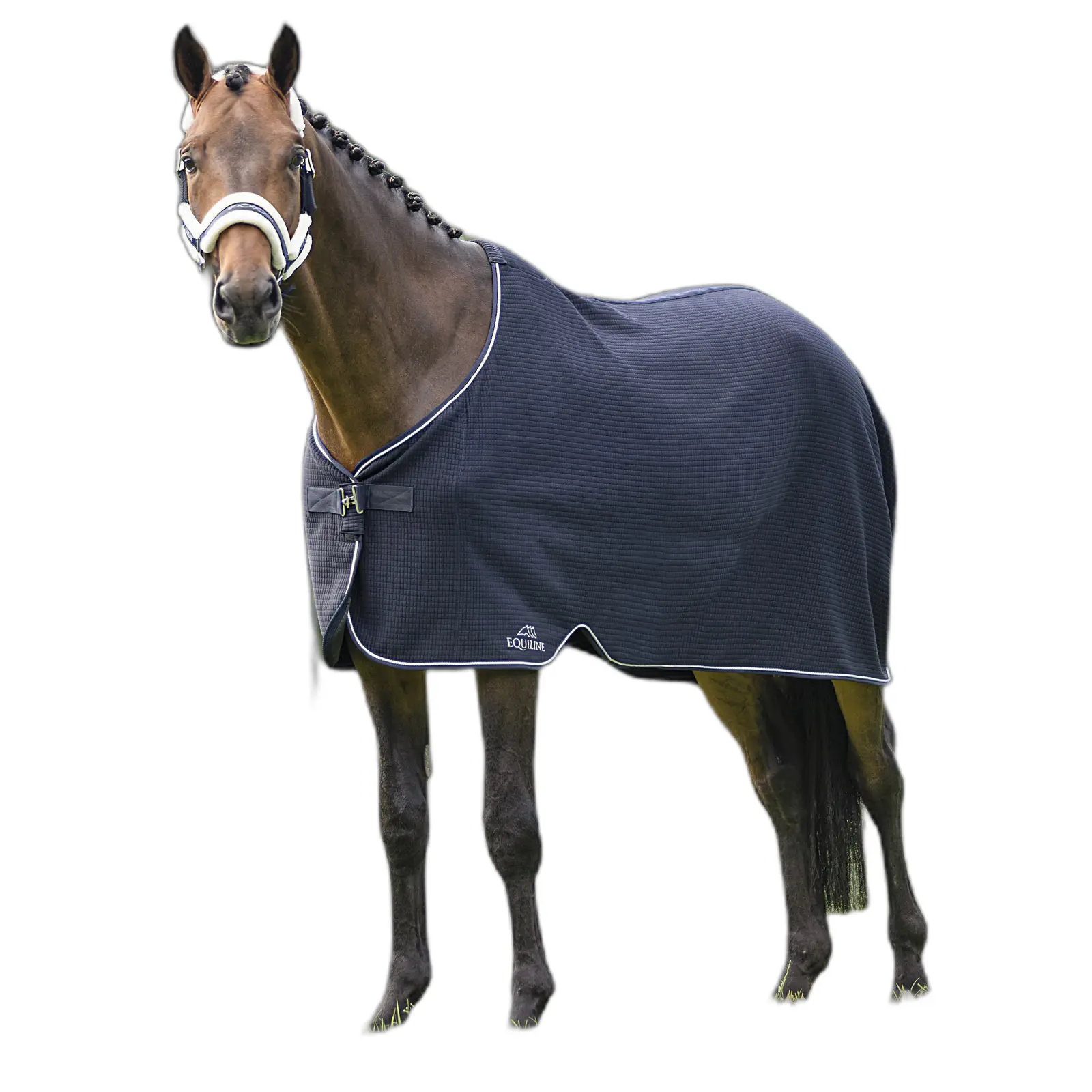 Equiline Bleu Saddle Cloth For Horse Without Straps