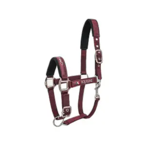 Equiline Rouge Halter For Horse Timmy