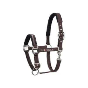 Equiline Marron Halter For Horse Timmy