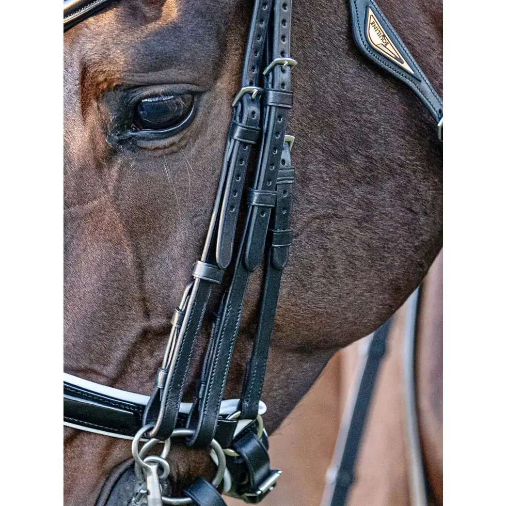 Meilleurs prix pour Montants plats pour cheval Equiline (x3)