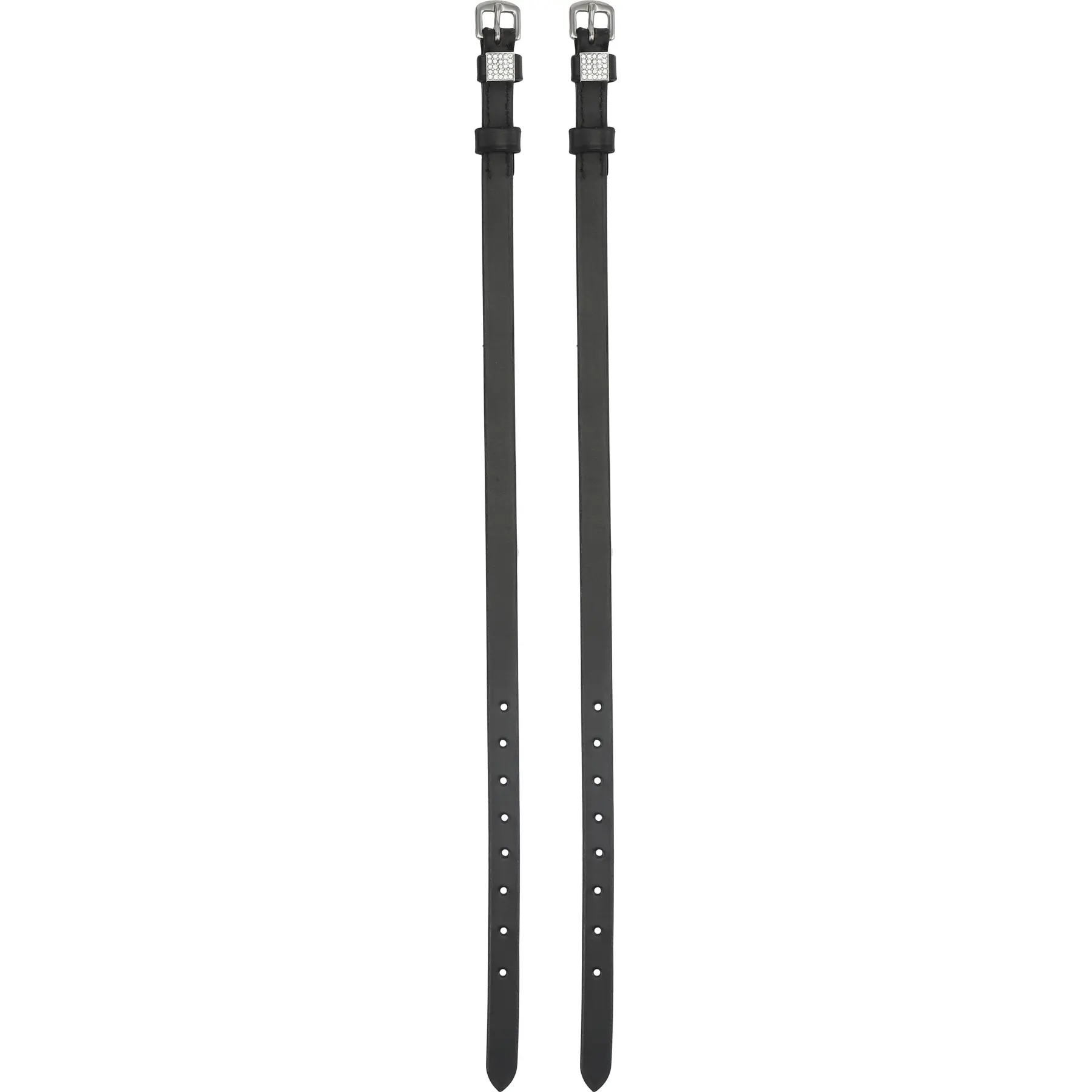 Equipage Noir Classic Riding Spur