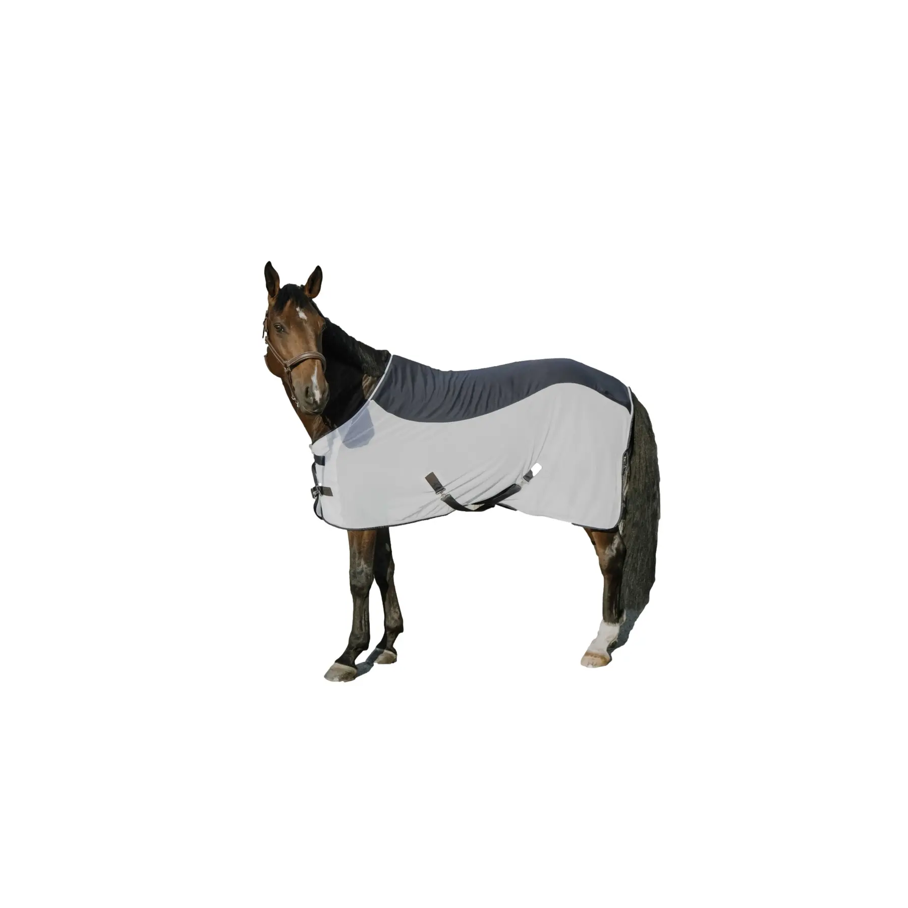 Meilleurs prix pour Chemise anti-mouches pour cheval Equithème Equithème Flycool