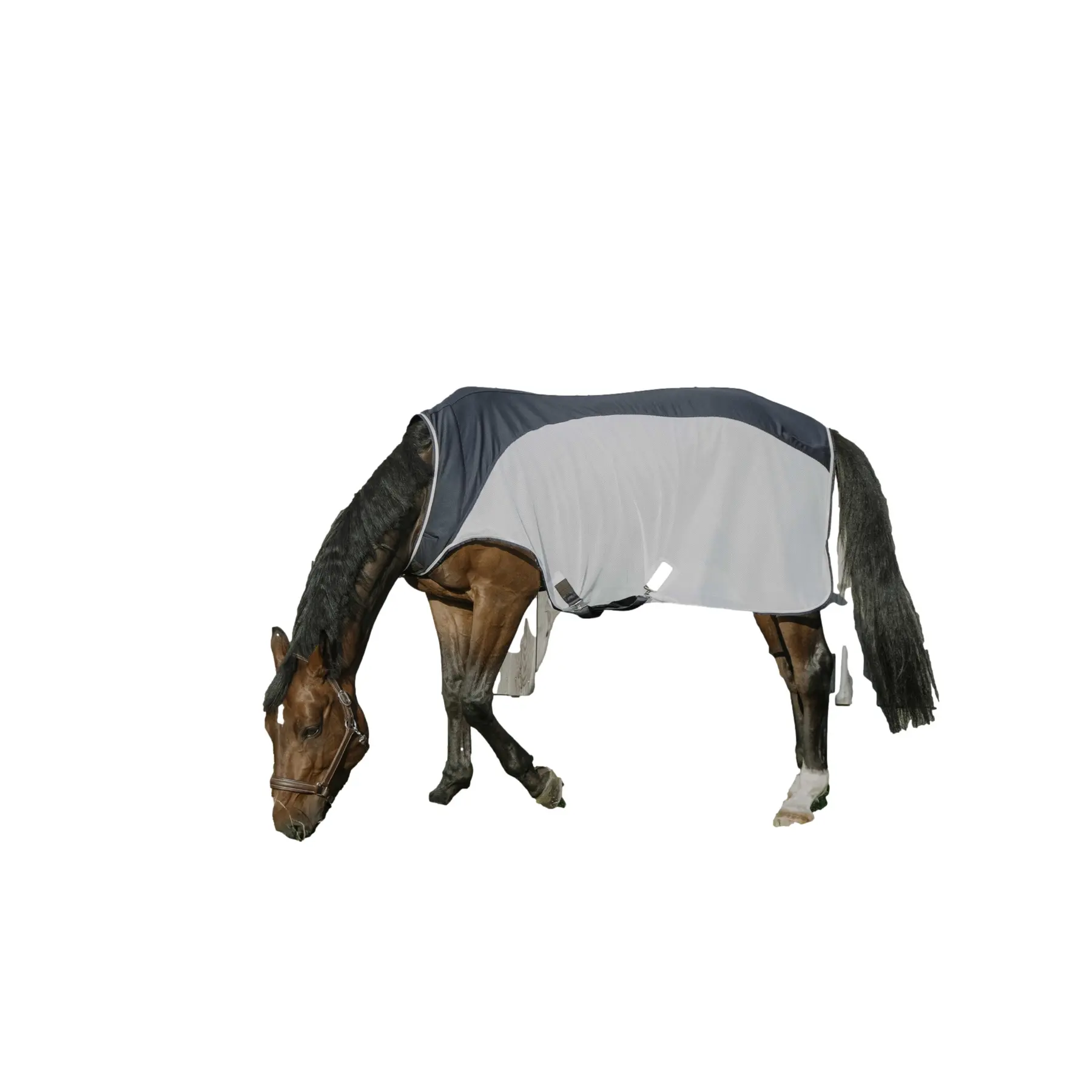 Comparer les prix de Couverture de marcheur pour cheval Equithème Equithème Flycool