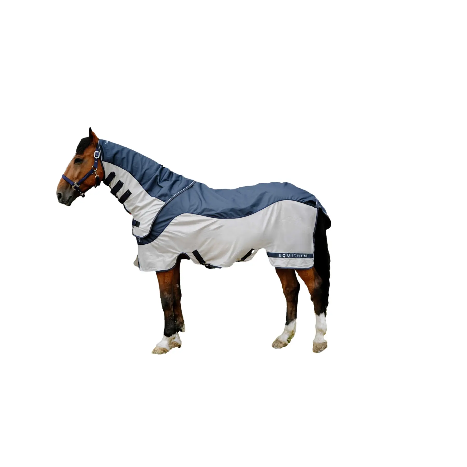 Comparer les prix de Couverture anti-mouches pour cheval avec couvre-cou Equithème Tyrex Combofly 600D